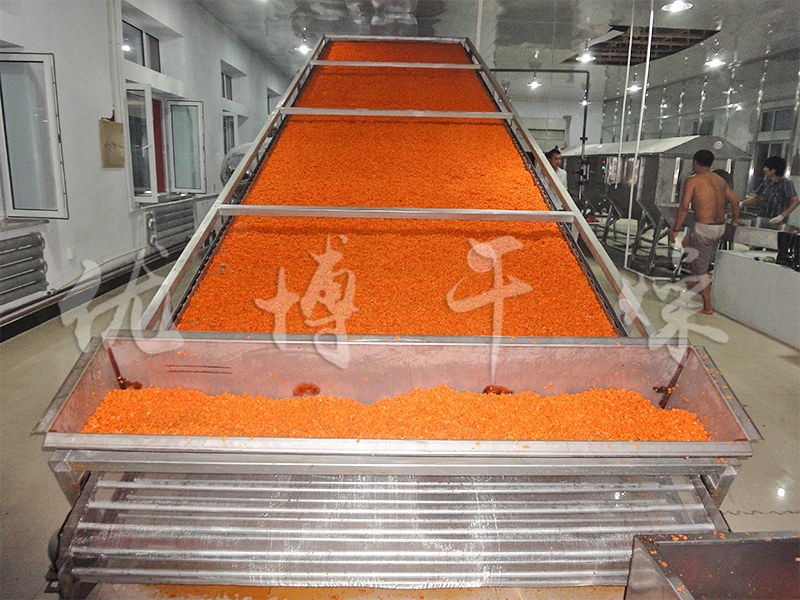 DWT系列脫水蔬菜干燥機(jī)